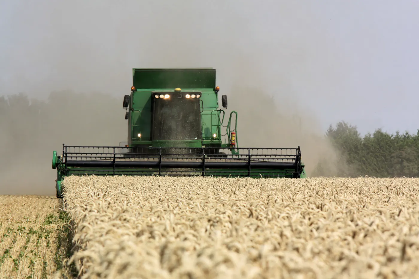 A combine harvester cutting a ripe wheat field, raising dust in low sun.