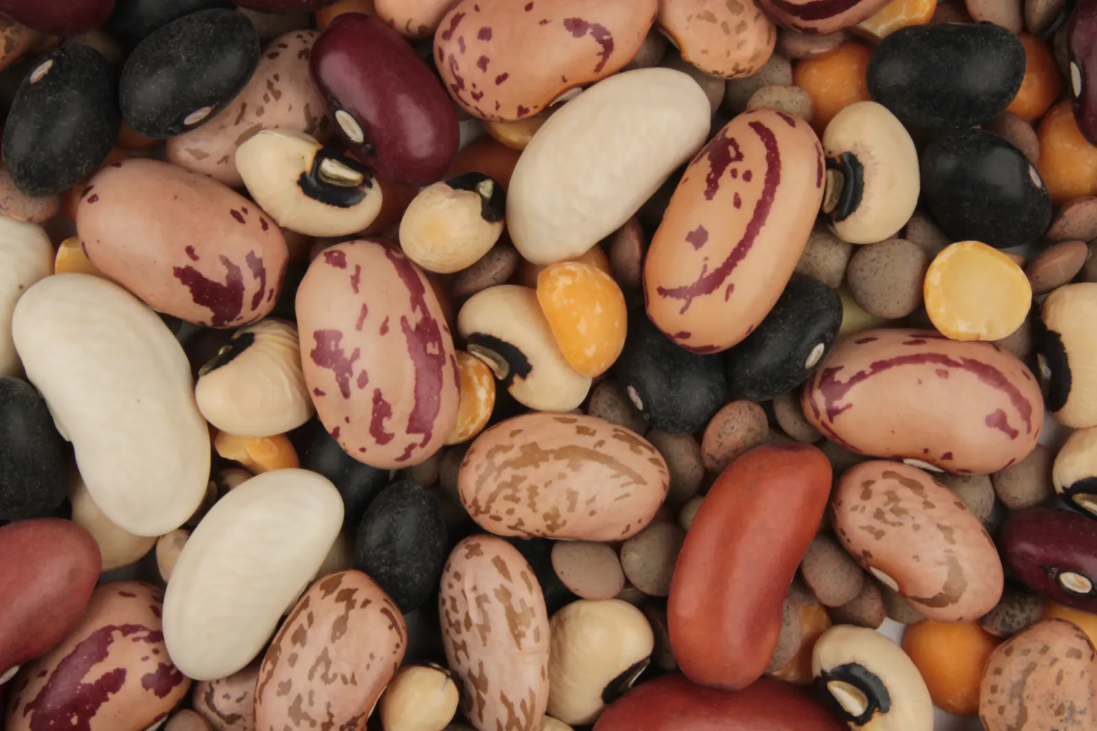 Close view of mixed pulses, including kidney beans, pinto beans, black-eyed peas, split peas, and lentils.